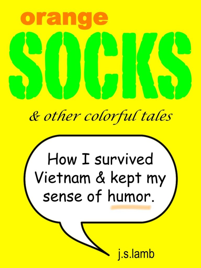 A picture of a book cover for Orange Socks