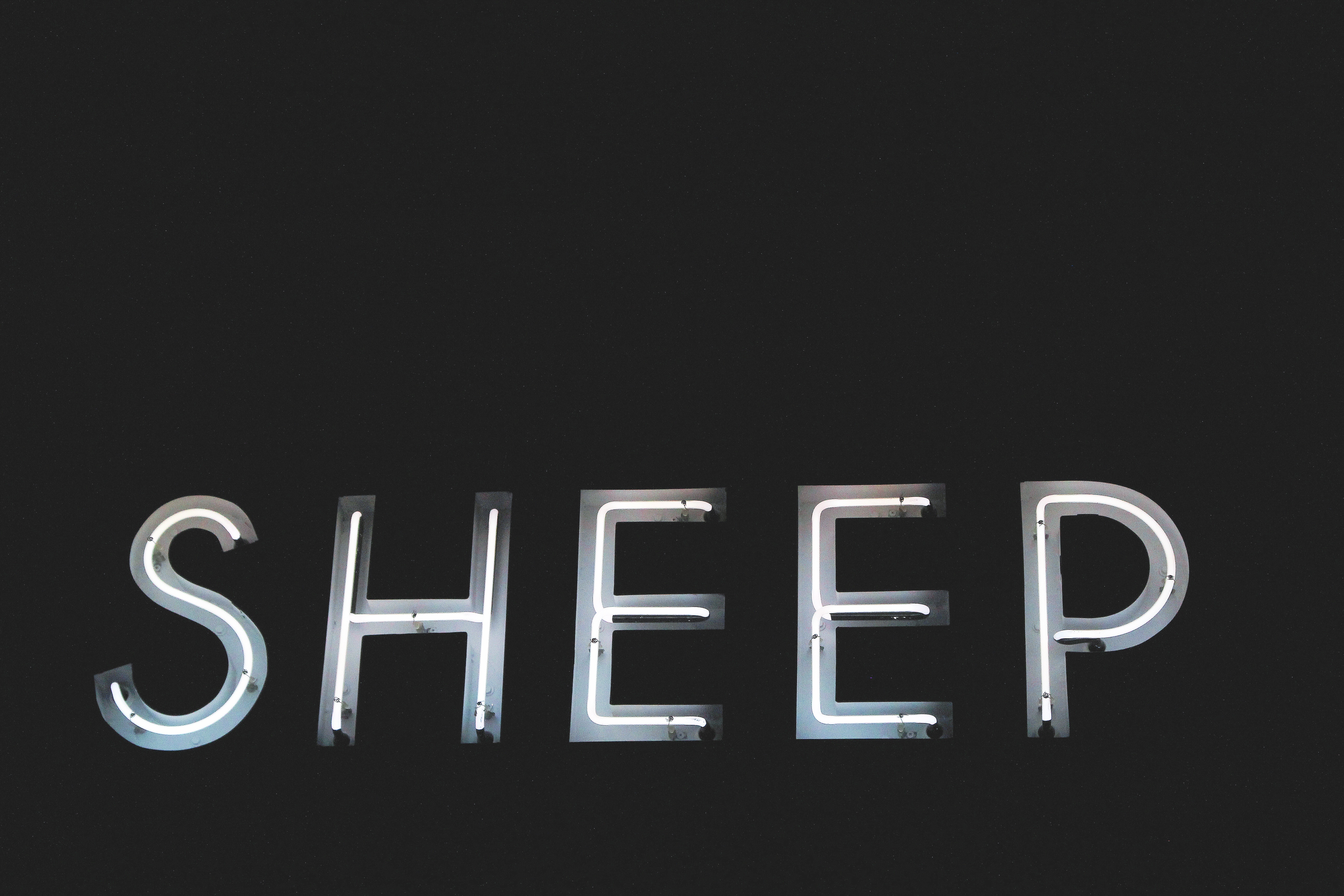 A picture of sheep in neon