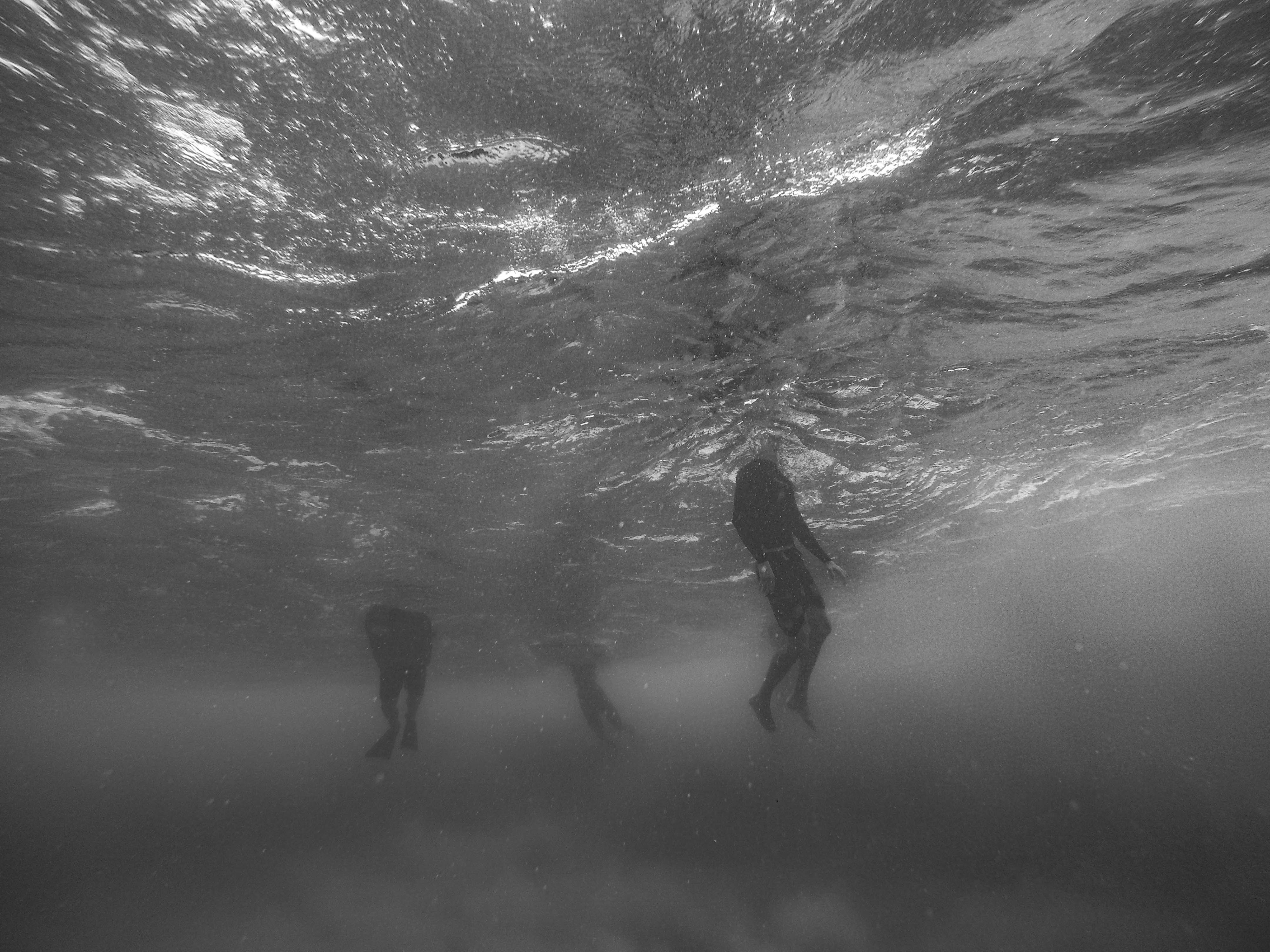 A picture of people with heads just above the water