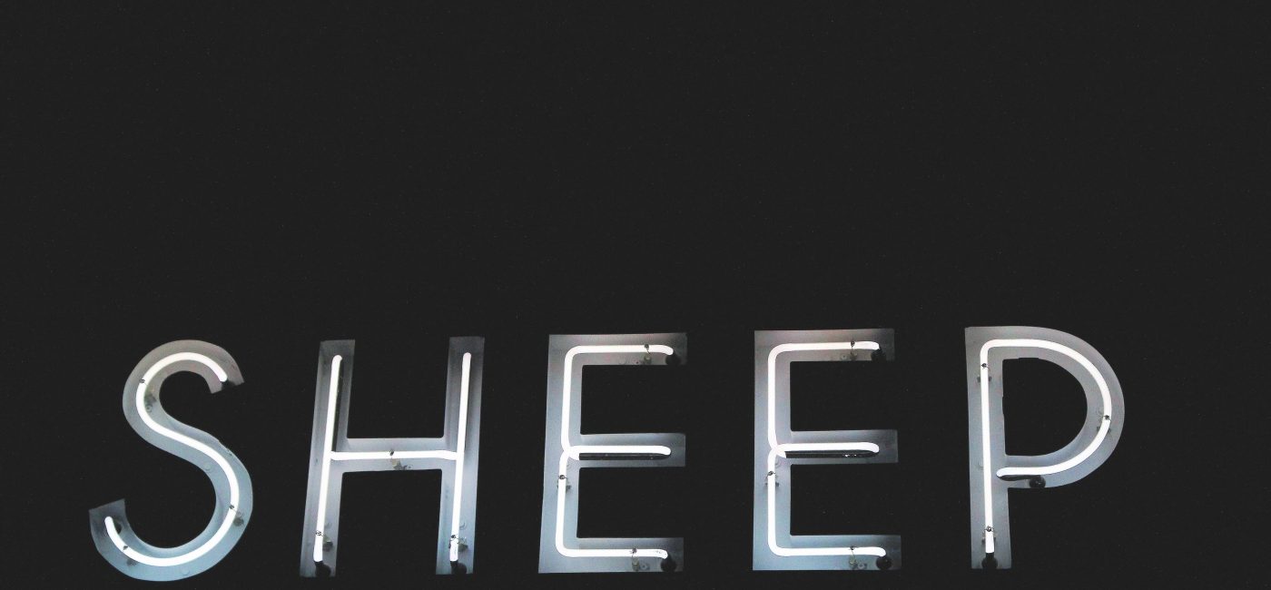 A picture of sheep in neon