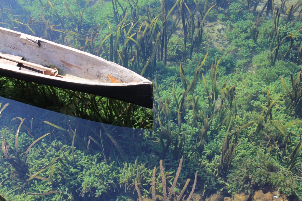 A boat similar to the one used in bird box
